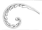 36 Fr Scroll